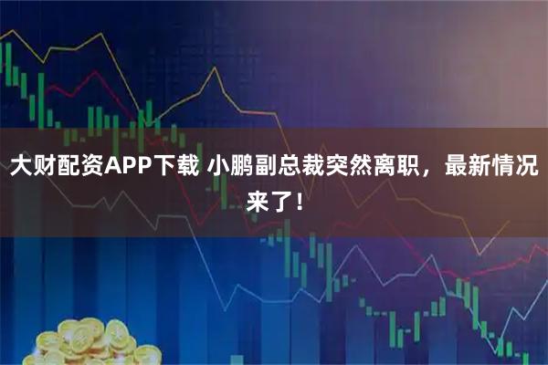 大财配资APP下载 小鹏副总裁突然离职，最新情况来了！