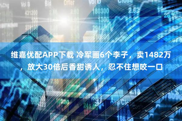 维嘉优配APP下载 冷军画6个李子，卖1482万，放大30倍后香甜诱人，忍不住想咬一口