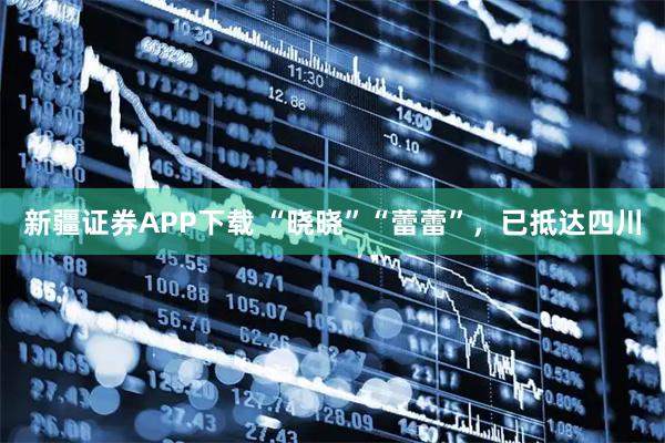 新疆证券APP下载 “晓晓”“蕾蕾”，已抵达四川